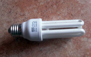 eco-light-bulbs